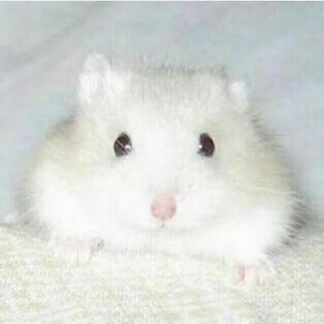 View fkjubitch's full-sized avatar